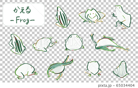 Hand drawn frogs drawn with a brush, cute animal illustrations 65034404
