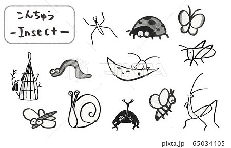 筆で描いた手描きの昆虫たち 可愛い動物イラストのイラスト素材