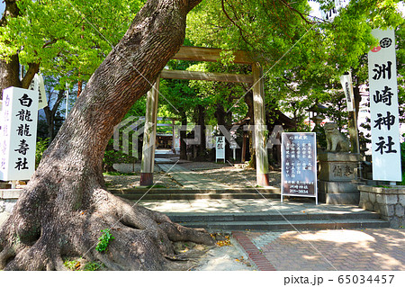 愛知県 名古屋市 洲崎神社 愛知県 名古屋市 洲崎神社 65034457