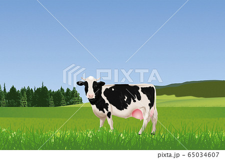 牛のイラスト 牛のイラスト 65034607