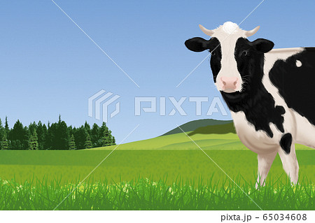 牛のイラスト 65034608