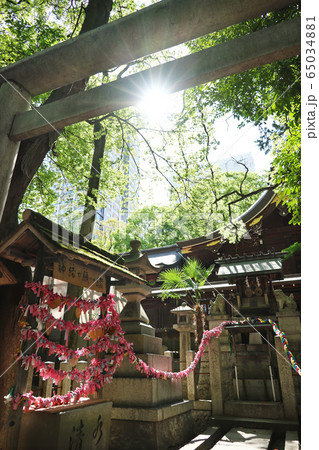 愛知県　名古屋市　若宮八幡社 65034881