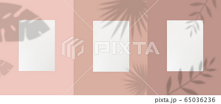 Set of empty white a4 paper template sheet with plant leaves, foliage and branches shadow 65036236