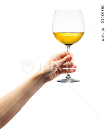 Woman hand holding white wine glass isolated on 65036360