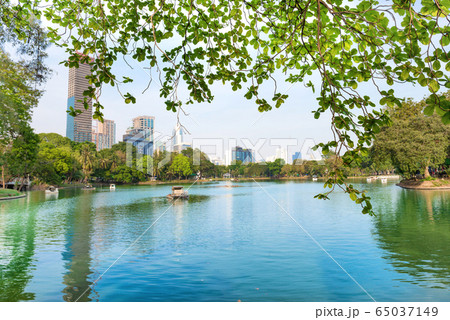 Lumphini park with lake and skyscrapers on skyline Lumphini park with lake and skyscrapers on skyline 65037149