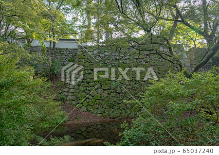 岡崎城 龍城堀と石垣 65037240