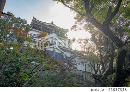 岡崎城 天守閣 65037338