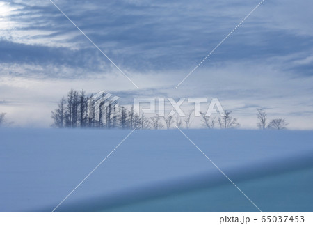 北海道の雪原　阿寒国立公園の雪景色　冬の北海道イメージ 65037453