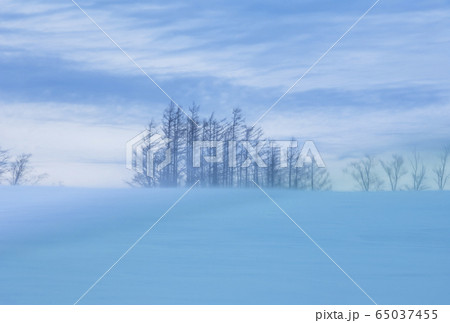 北海道の雪原 阿寒国立公園の雪景色 冬の北海道イメージ 北海道の雪原 阿寒国立公園の雪景色 冬の北海道イメージ 65037455