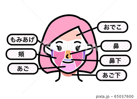 女性 脱毛箇所 顔のイラスト素材