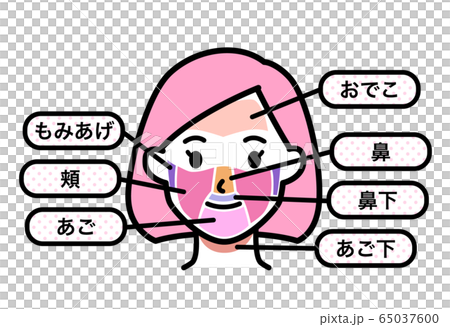 女性 脱毛箇所 顔 65037600