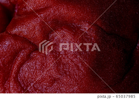 梅干し 梅干し 65037985