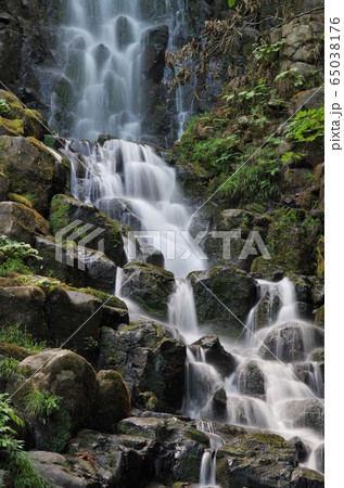 大尾不動滝 65038176