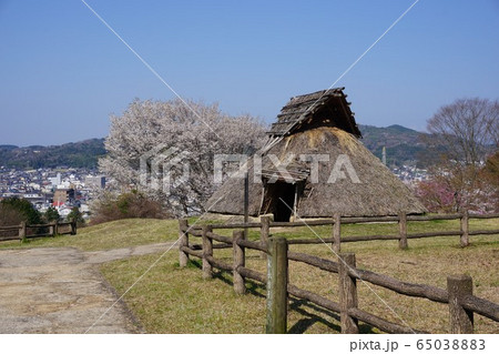 岡山県津山市にある弥生時代の遺跡:沼弥生住居址 岡山県津山市にある弥生時代の遺跡:沼弥生住居址 65038883