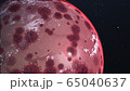 地球・ウィルス 65040637