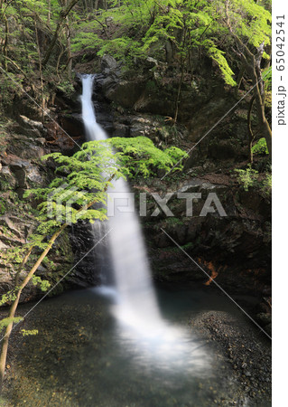 不動滝 不動滝 65042541