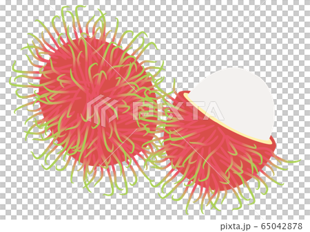 熱帶水果紅毛丹 熱帶水果紅毛丹 65042878