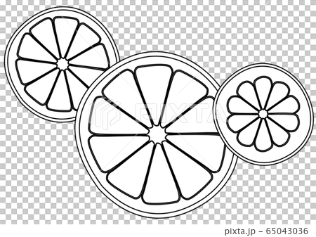 熱帶水果普通話橙色橙色葡萄柚檸檬線描 65043036