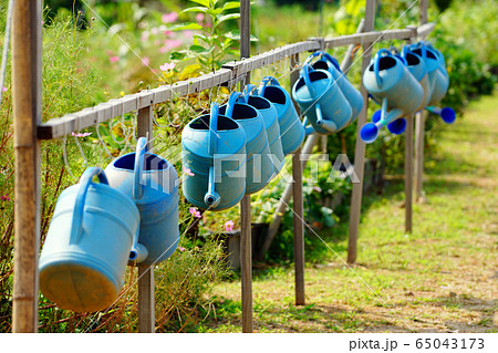 家庭菜園 菜園 週末農場 65043173