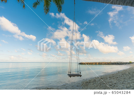 Swing hangs under coconut tree in beautiful tropical Maldives beach in Massfushi Island, Maldives Swing hangs under coconut tree in beautiful tropical Maldives beach in Massfushi Island, Maldives 65043284