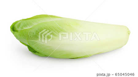 Chicory salad isolated on white background with clipping path and full depth of field. 65045046
