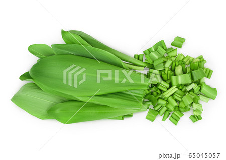 Ramson bunch vegetable isolated on white background with clipping path and full depth of field, Top view. Flat lay Ramson bunch vegetable isolated on white background with clipping path and full depth of field, Top view. Flat lay 65045057