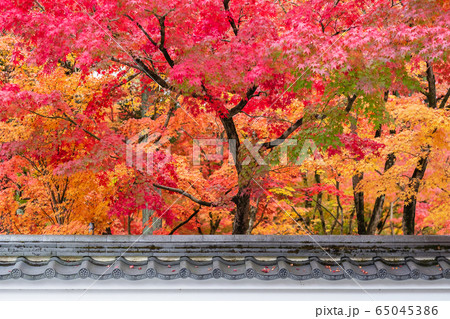 Japanese roof with colorful leaves in the garden, 65045386