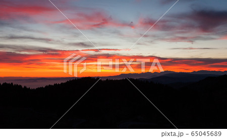 Dramatic red sky on dark woodland Dramatic red sky on dark woodland 65045689