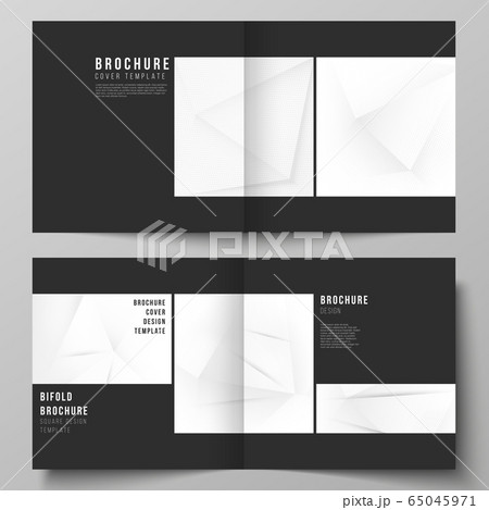 Vector layout of two covers templates for square design bifold brochure, flyer, cover design, book design, brochure cover. Halftone effect decoration with dots. Dotted pop art pattern decoration. 65045971