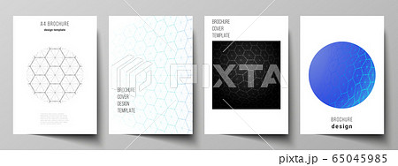 Vector layout of A4 format cover mockups design templates for brochure, flyer. Digital technology and big data concept with hexagons, connecting dots and lines, polygonal science medical background. 65045985