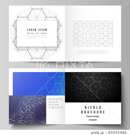 Vector layout of two covers templates for square design bifold brochure, flyer. Digital technology and big data concept with hexagons, connecting dots and lines, polygonal science medical background. Vector layout of two covers templates for square design bifold brochure, flyer. Digital technology and big data concept with hexagons, connecting dots and lines, polygonal science medical background. 65045986