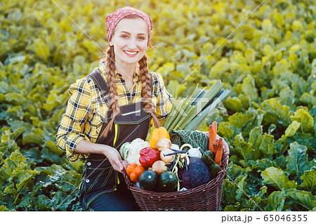 Farmer woman offering basket of healthy organic vegetables Farmer woman offering basket of healthy organic vegetables 65046355