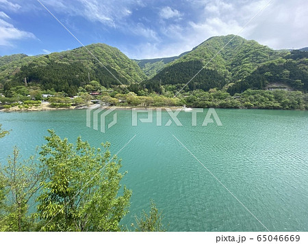 丹沢湖 新緑風景 丹沢湖 新緑風景 65046669