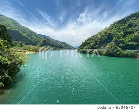 丹沢湖 新緑風景　 65046707