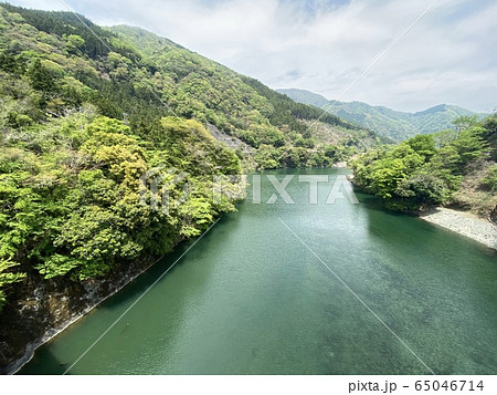 丹沢湖 新緑風景 丹沢湖 新緑風景 65046714
