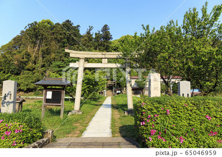 鎮守の森（春） 65046959