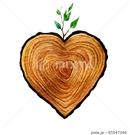 Watercolour wooden Heart isolated on white background. Watercolor heart wood slice illustration.  65047366