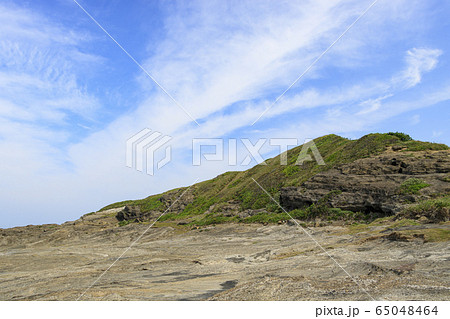 黒崎の鼻（春） 65048464