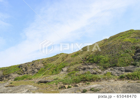 黒崎の鼻（春） 65048470