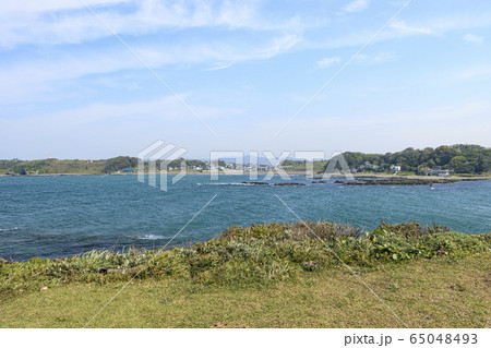 黒崎の鼻（春） 65048493