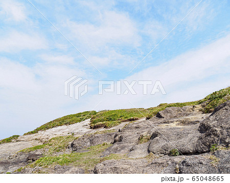 黒崎の鼻（春） 65048665