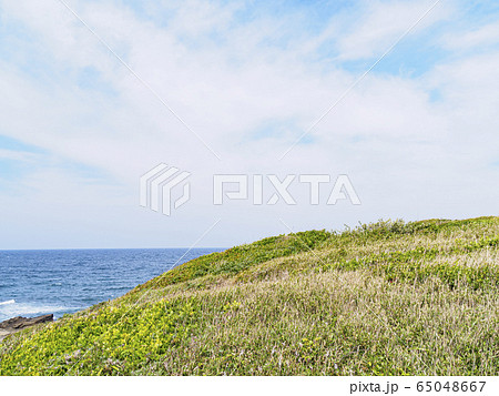 黒崎の鼻（春） 65048667