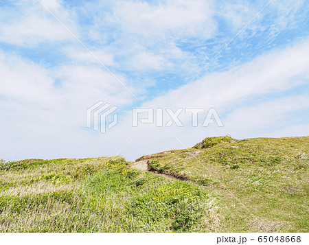 黒崎の鼻（春） 65048668