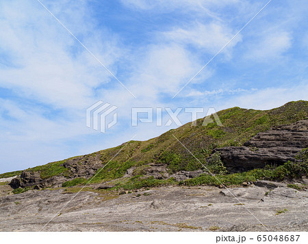 黒崎の鼻（春） 65048687