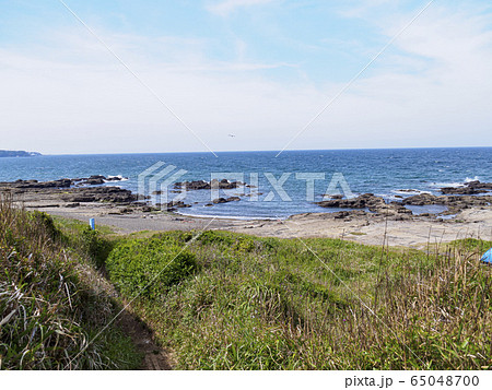 黒崎の鼻（春） 65048700