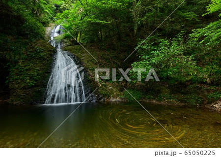 愛知県新城市　阿寺の七滝 65050225