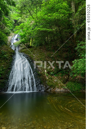 愛知県新城市　阿寺の七滝 65050226