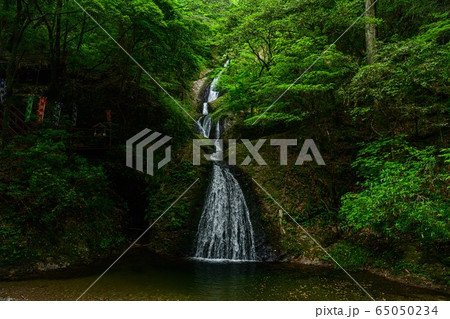 愛知県新城市　阿寺の七滝 65050234