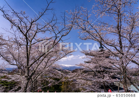 福島県二本松市　春の安達ヶ原ふるさと村　五重塔 65050668