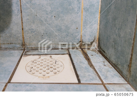 Mildew, dirty unhygienic mold growing on bathroom tile Mildew, dirty unhygienic mold growing on bathroom tile 65050675